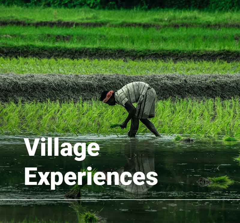 Bekal tour package